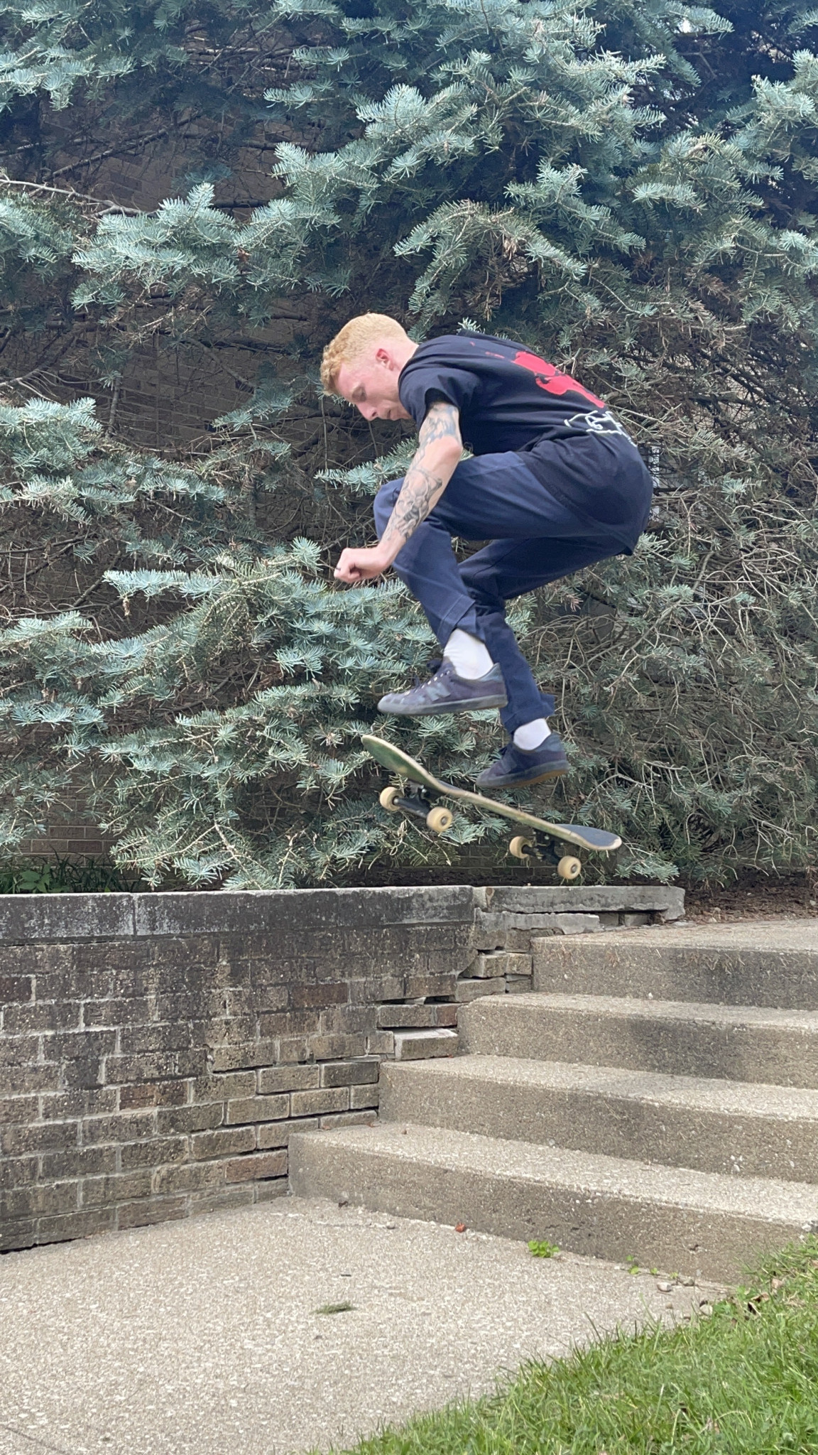 Bryan Blanchard Tony Hawk's Skatepark Hero