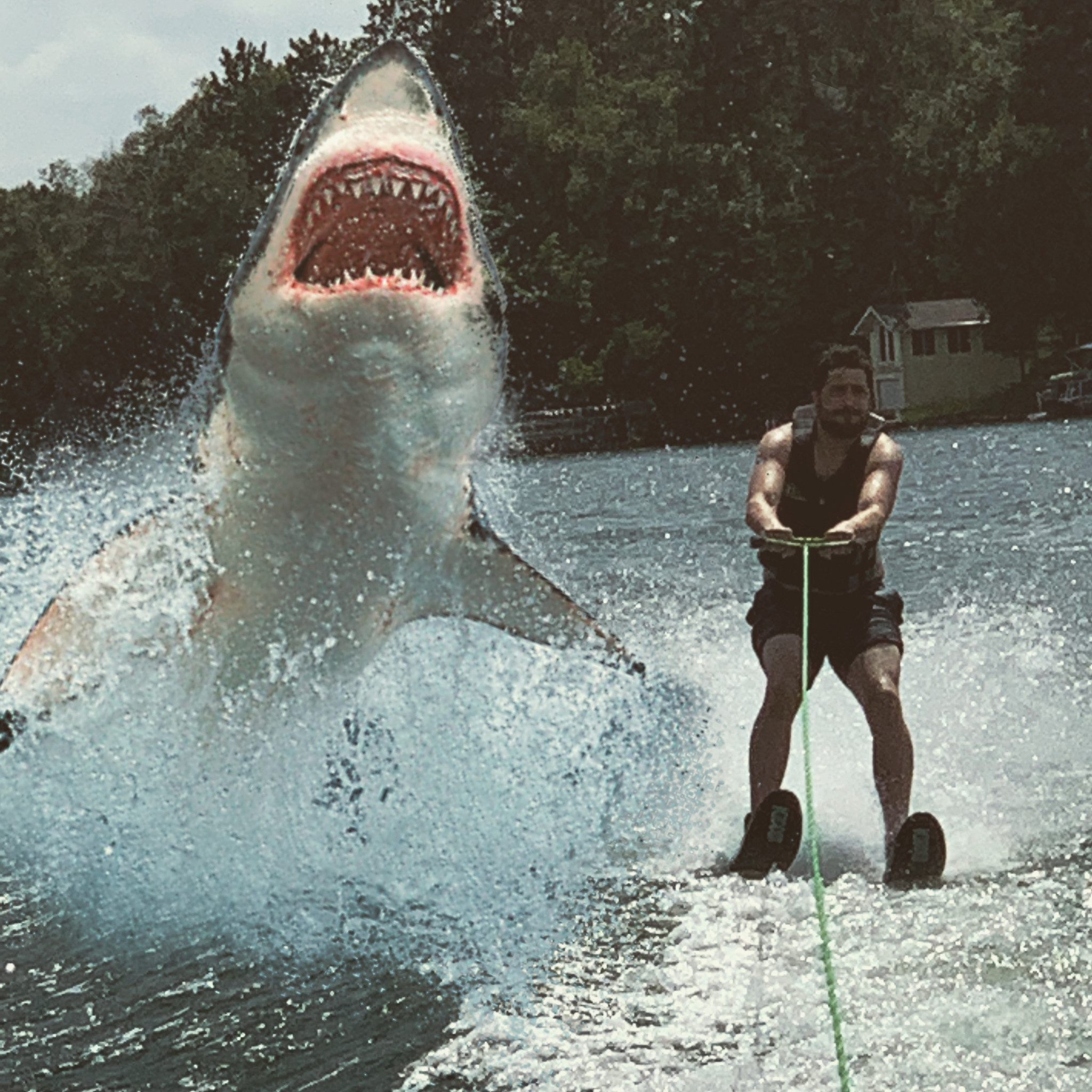 Luke Yeager Tony Hawk's Skatepark Hero